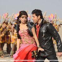 Samantha Hot Stills In Dookudu | Picture 113221